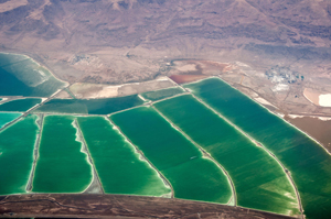 Minerals Pools, Aerial View